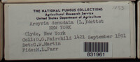 Image Associated With the Occurence